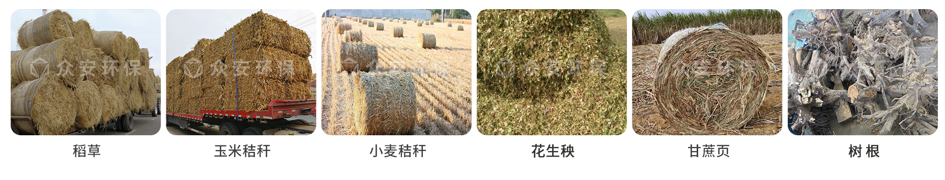 生物質(zhì)_01.jpg